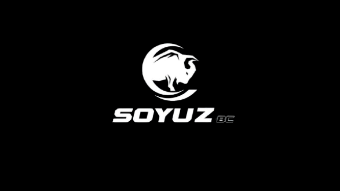 Soyuz Hockey Sticks